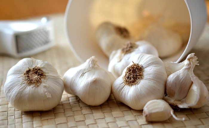 The Powerful Uses of Garlic in the Garden